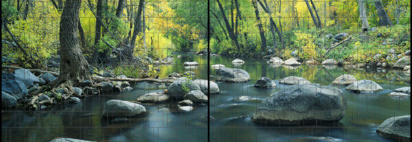Sichtschutz Premium Panorama Fluss im Wald XL
