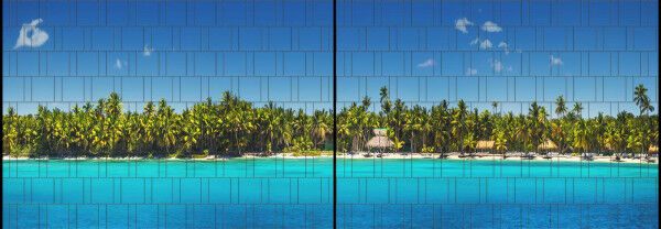 Sichtschutz Premium Panorama Palmenstrand XL