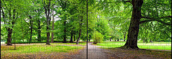 Sichtschutz Premium Panorama Parklandschaft XL