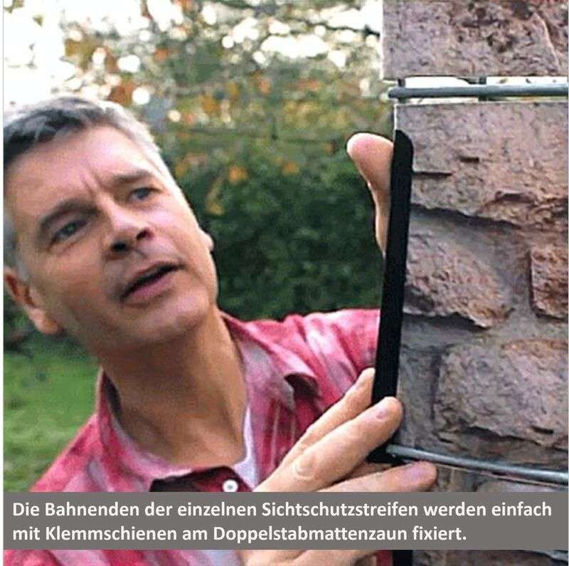 wie viel wächst liguster im jahr Liguster (100 - 125 cm ) Ovalifolium im 3L Topf main image 0