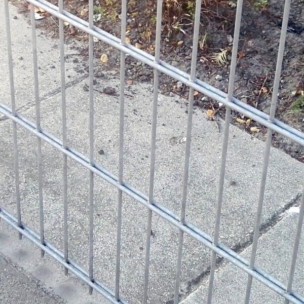 Doppelstab Mattenzaun Komplett-Set / Verzinkt / 83cm hoch / 57,5m lang mit Abdeckleisten Stärke 6/5/6