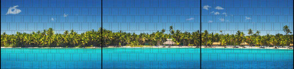 Sichtschutz Premium Panorama Palmenstrand XXL