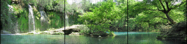 Sichtschutz Premium Panorama See im Wald XXL