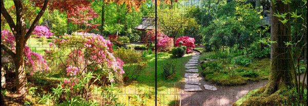 Sichtschutz Premium Panorama Naturgarten XL