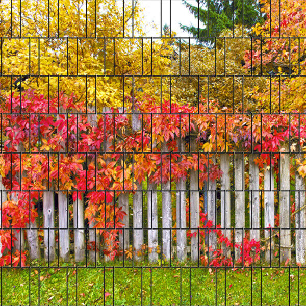 Sichtschutz Premium Motiv Zaun Rügen